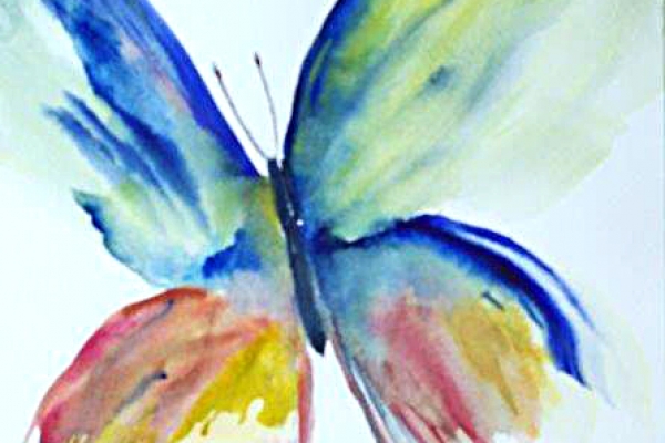 gander-schmetterling-244F65958-9C08-17CC-B222-238A261F76F1.jpg