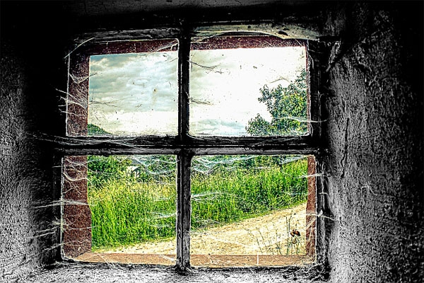 walter-03-fenster81C15C42-6768-3720-C489-E9EDE5E15D65.jpg