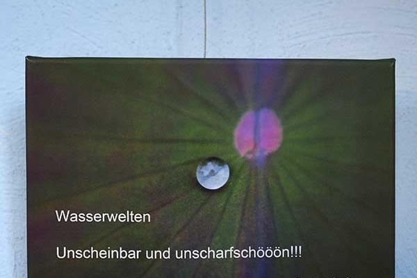 kerber-00F4F8B751-89FB-C684-3C3D-A12C0BBA294D.jpg