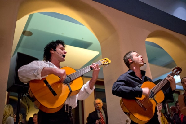 flamenco-013E7C3678-FC56-2BC4-D661-6A9379962304.jpg