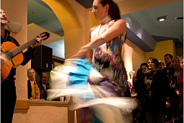 flamenco-1082549E48-E1C9-FEC8-E29B-5D121084B3AA.jpg
