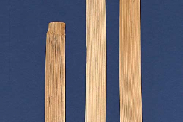 richter-08-didgeridoo48921450-463B-FBF9-8673-6F9CDFDC96C4.jpg