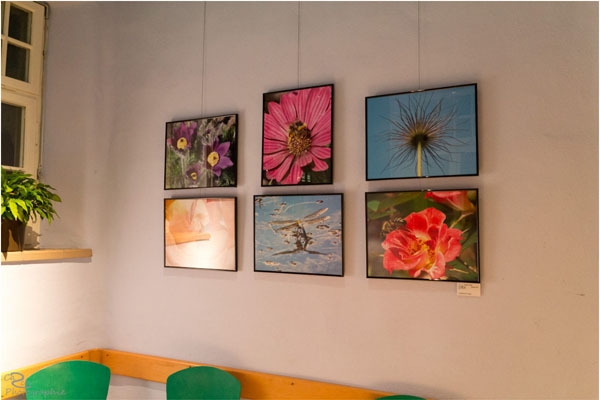 vernissage-schroeder-083D4994F8-D014-F267-AE53-E204BFB9C1E6.jpg