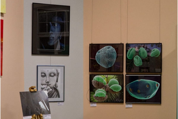 vernissage-schroeder-32DB8FEC94-ADEC-0C23-B988-8DB6CDC0DA07.jpg