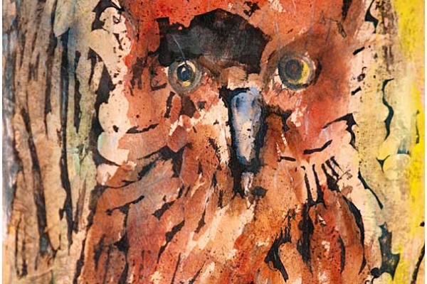 hansen-14F0DD1B03-0515-C84F-E3B3-7B25A8FD4B8F.jpg