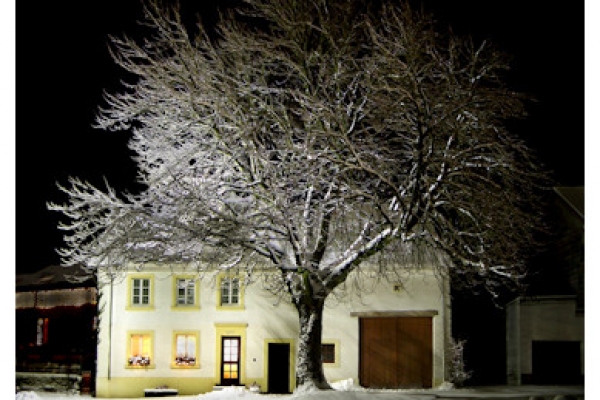 schroeder-12-winterhaus0E1B22E0-40BB-0938-38DA-C9B73377B89B.jpg