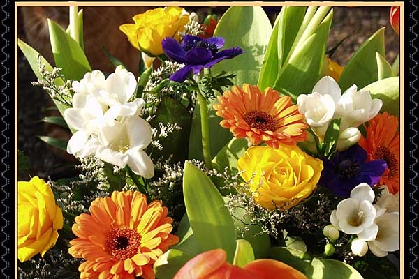 blumenstraussAF1BF013-989C-E170-7752-E74F8363339F.jpg