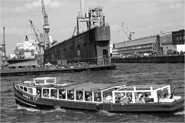 roeder-07900CF541-EAF6-4422-4EC5-95553D383CCC.jpg