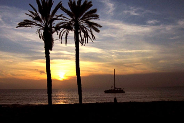 stoeckle-061847B8A6-C719-B251-FACA-46281EC3B4D4.jpg