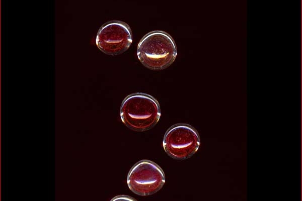 kidm-becker-8740617BB-74C5-EBEA-B2C4-EE3CA0CFDBE5.jpg