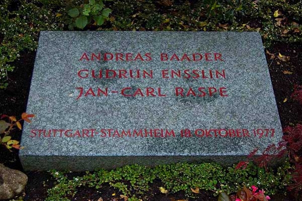 kidm-hanstein-6B7324106-B5E0-1143-F0D0-1E580BF75BEB.jpg