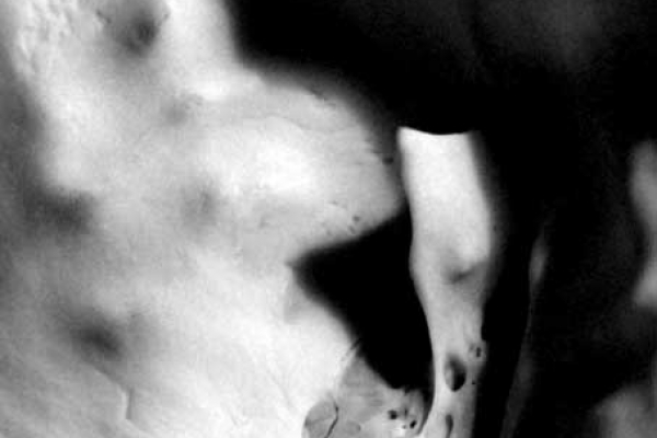 becker-138A1C675F-B60C-AA9B-729C-5B422287966A.jpg