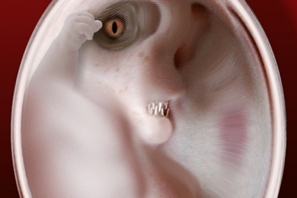 roland-mettel-extraterrestrial-embryonic449CFC42-46ED-0088-8590-54C7FBCDB00C.jpg