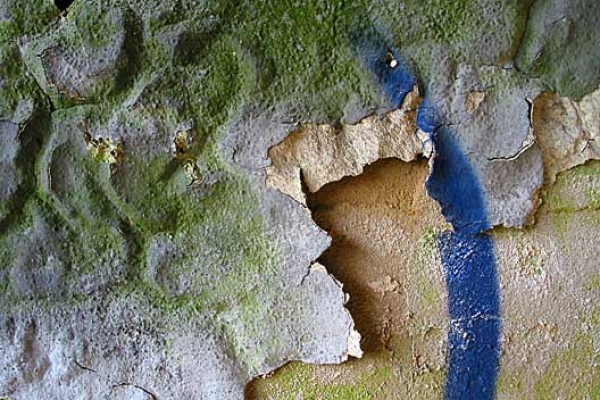 thomas-schulz-farbe-02D4C76BF4-5BB1-651B-B380-5BA284EE9F53.jpg