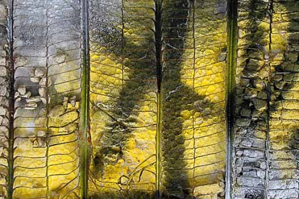 thomas-schulz-farbe-0342190F19-9055-3367-C041-21E26A0CBFAB.jpg