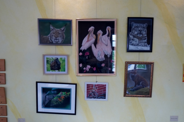 dsc034770BE85783-7809-EBE2-8A4F-8B01BA91D63C.jpg